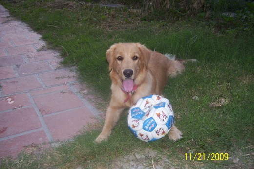 Toda una Princesa, con su pelota